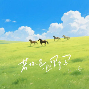 国产五六七八区大全
